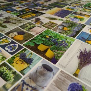 Voksdug med Sommer lavendel c