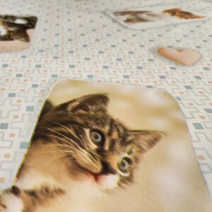 Katte voksdug b