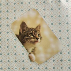 Katte voksdug d