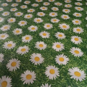 Bellis voksdug c